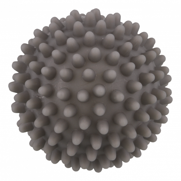 , , 2420004