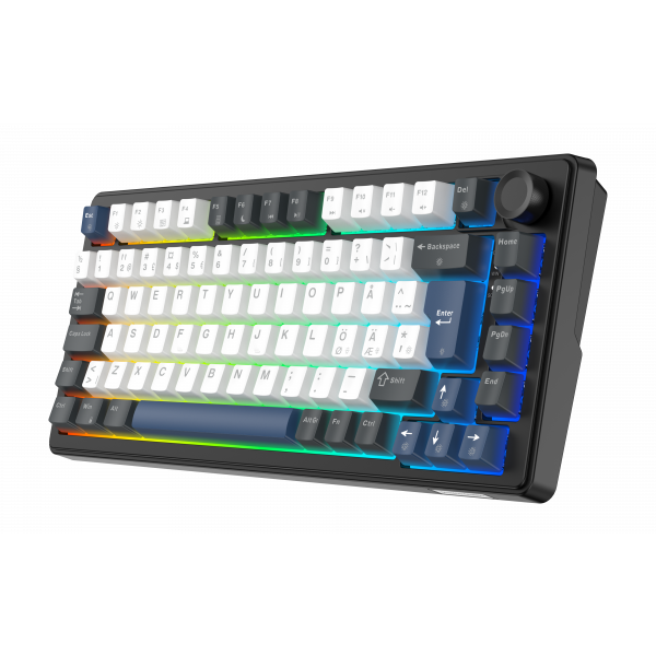 Möt DK480 – ett premium mekaniskt gamingtangentbord i 75%-format, utvecklat för gamers, kreatörer och tangentbordsentusiaster som ställer höga krav på både prestanda och komfort.Med en 5-lagers gasket-konstruktion erbjuder DK480 en mjukare och mer förfina