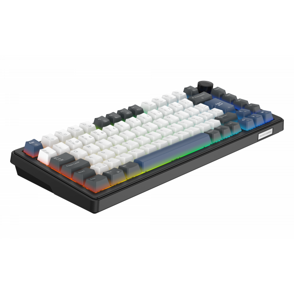 Möt DK480 – ett premium mekaniskt gamingtangentbord i 75%-format, utvecklat för gamers, kreatörer och tangentbordsentusiaster som ställer höga krav på både prestanda och komfort.Med en 5-lagers gasket-konstruktion erbjuder DK480 en mjukare och mer förfina