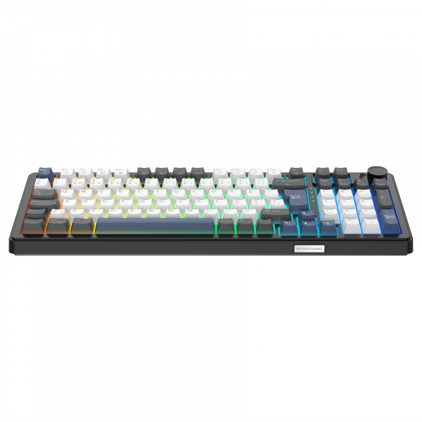 Möt DK490 – ett premium mekaniskt gamingtangentbord i 96%-format, utvecklat för gamers, kreatörer och tangentbordsentusiaster som ställer höga krav på både prestanda och komfort.Med en 5-lagers gasket-konstruktion erbjuder DK490 en mjukare och mer förfina