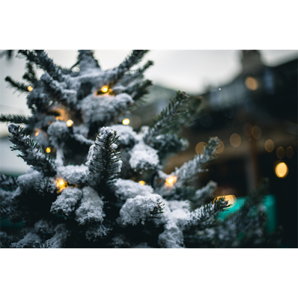 DELTACO SMART HOME Tree light,2m,10strings,300L,WW,adapter,IP44 SHLW2MT