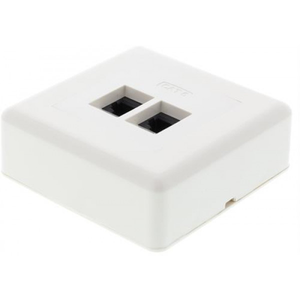 DELTACO Vägguttag utanpåliggande, UTP 2xRJ45, Cat6