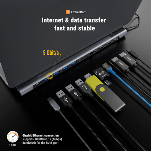 TYPE-C DOCKING HUB STATION - 12 ports XWH-CDH-13